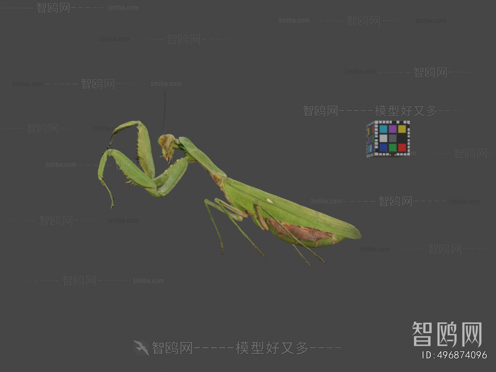 Modern Animal
