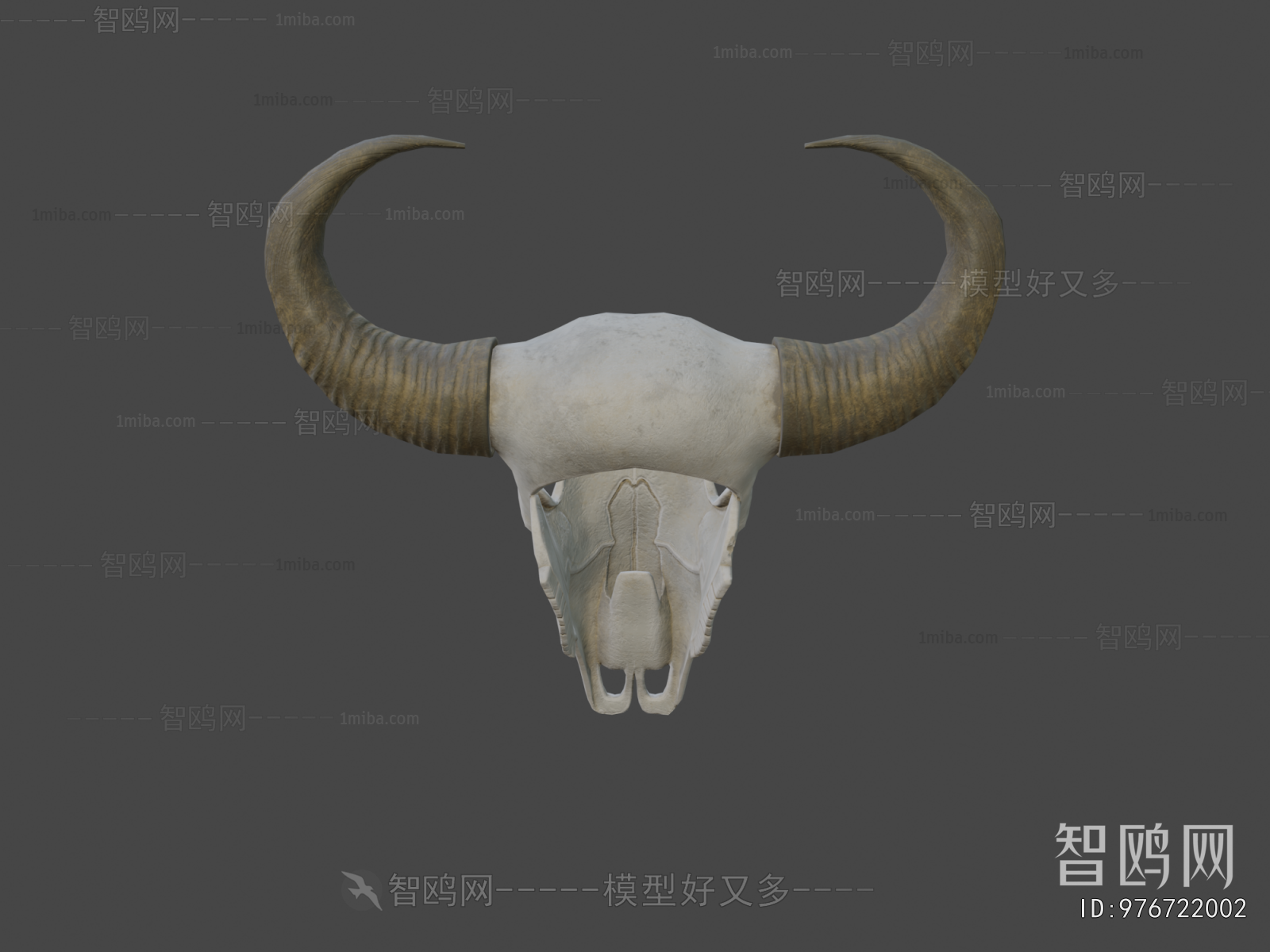 Modern Animal