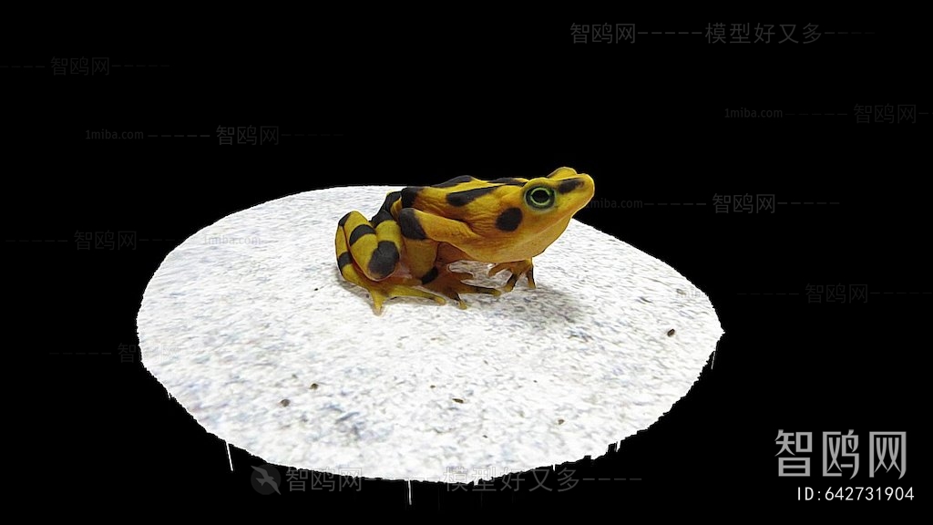 Modern Animal
