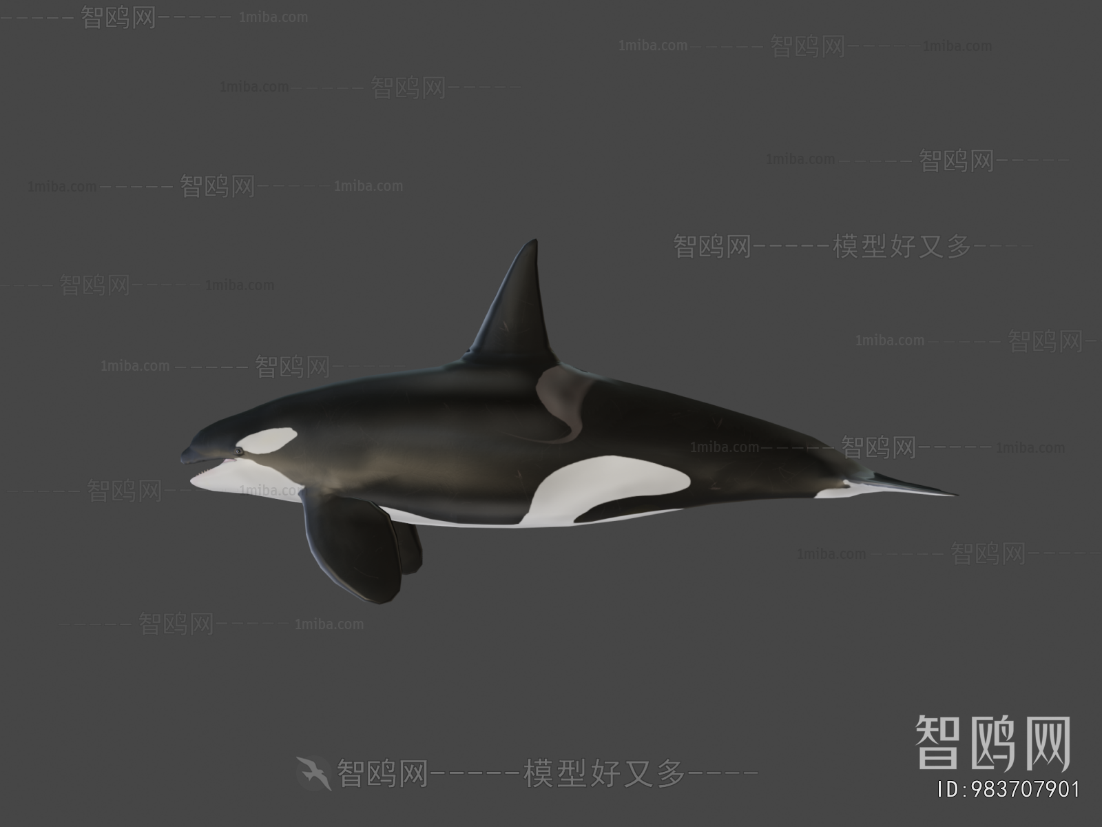 Modern Aquatic Animals