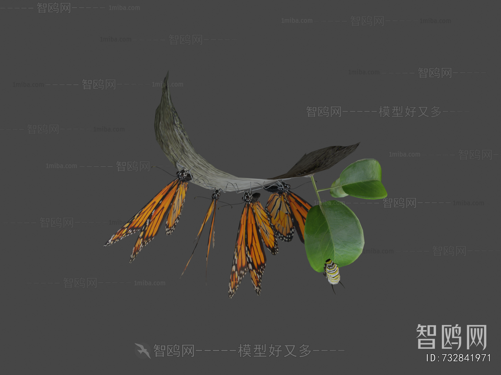 Modern Flying Animals