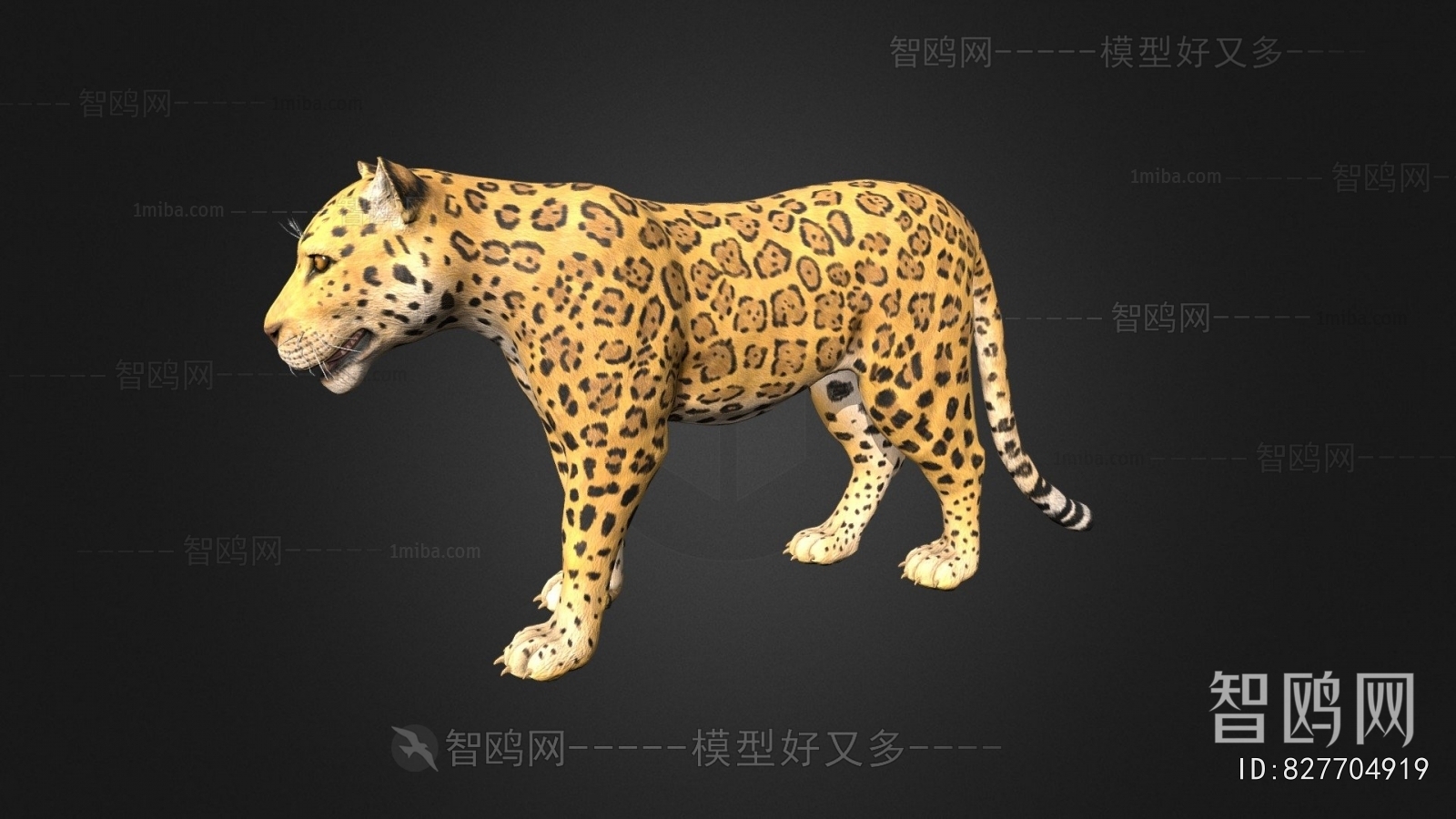 Modern Mammal