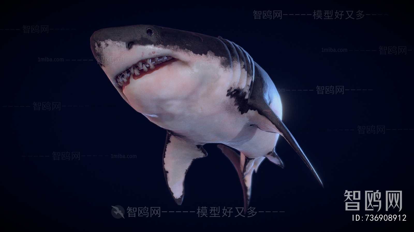 Modern Aquatic Animals