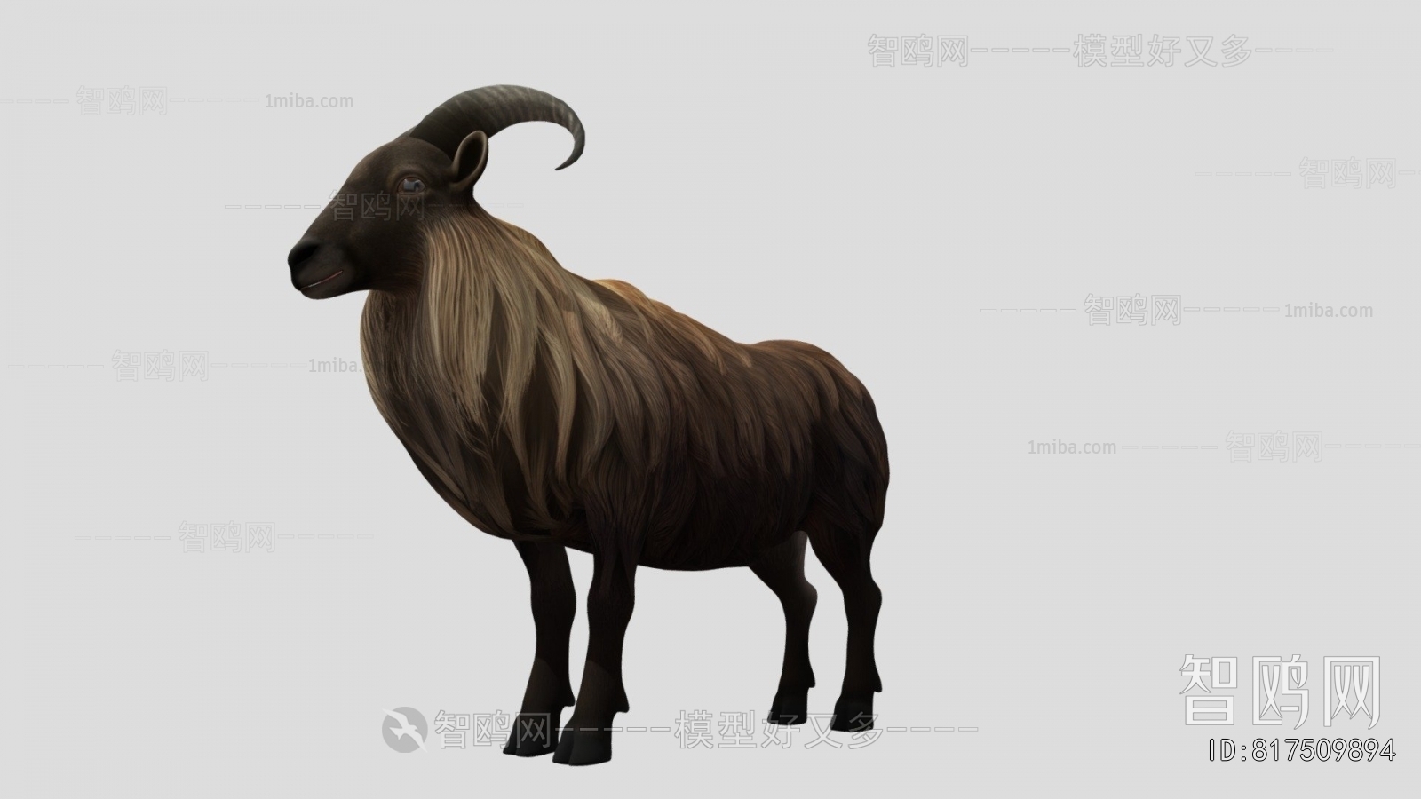 Modern Mammal