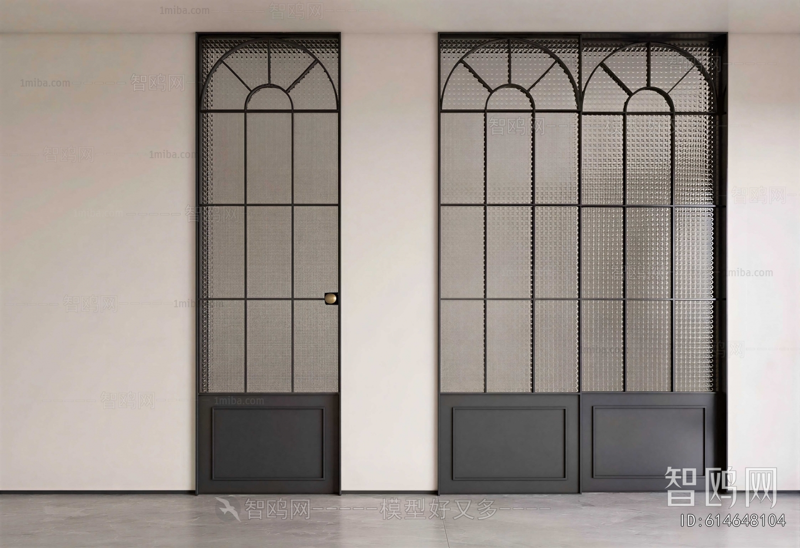 Modern Door