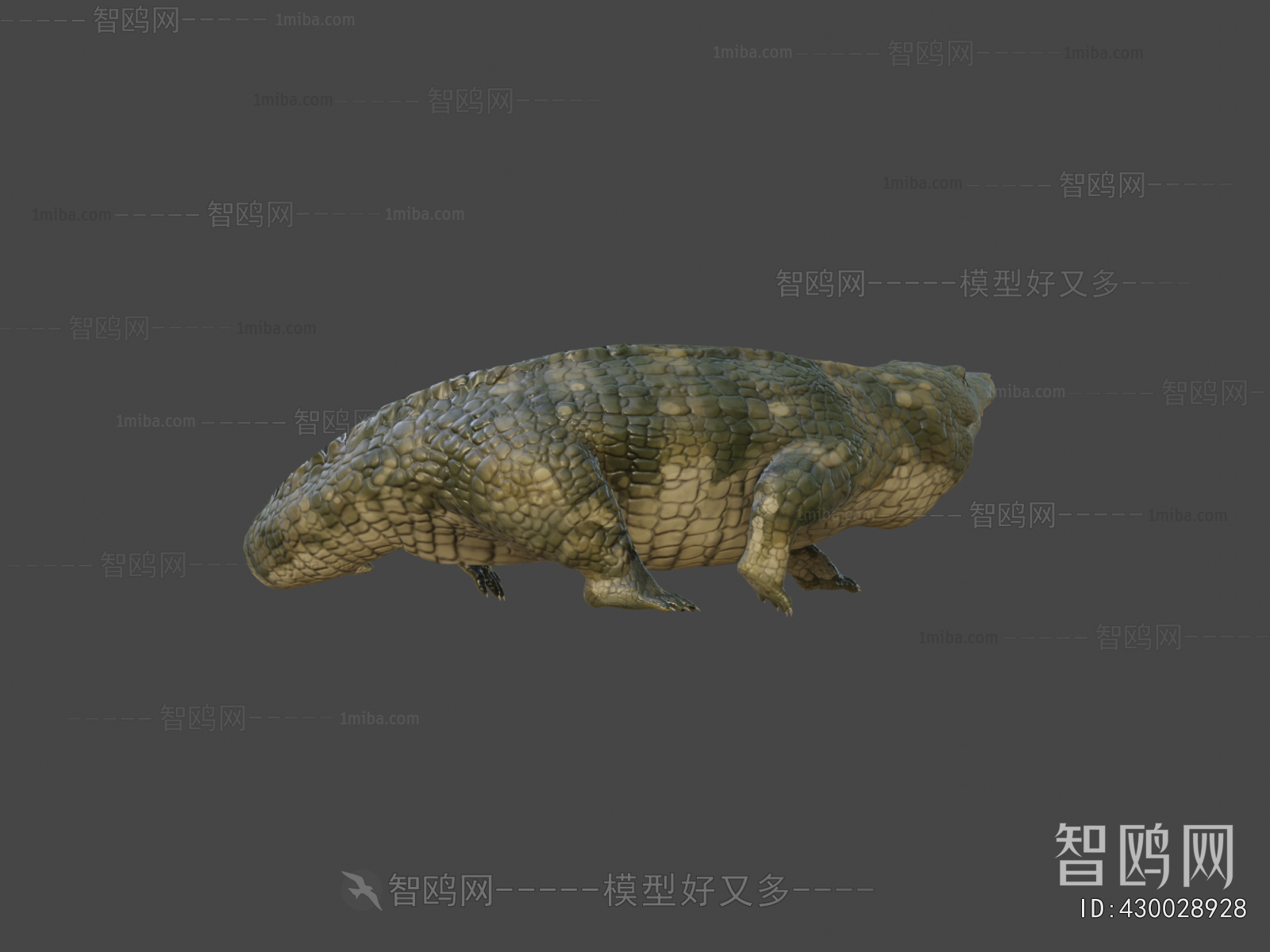 Modern Reptile