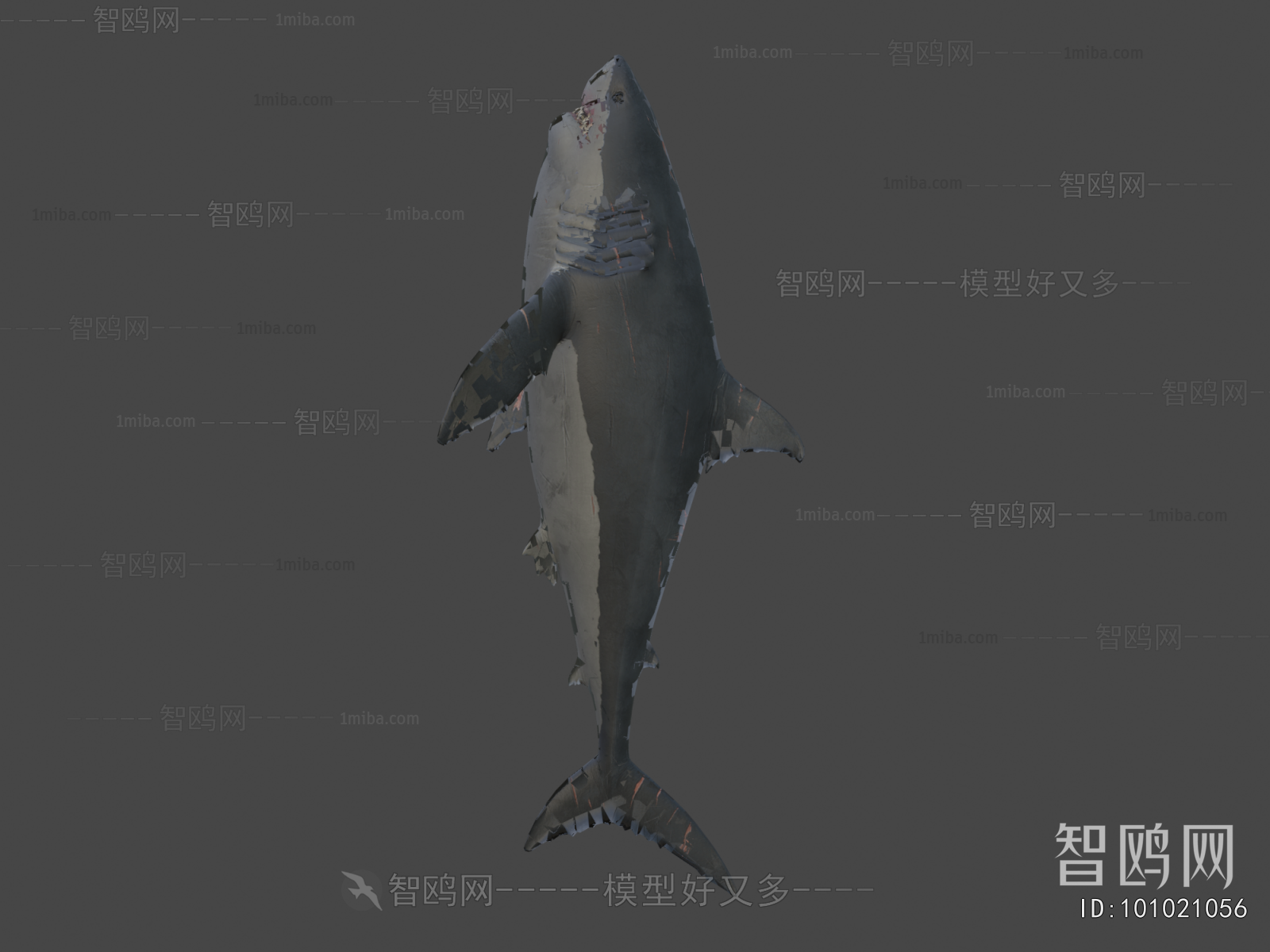 Modern Aquatic Animals