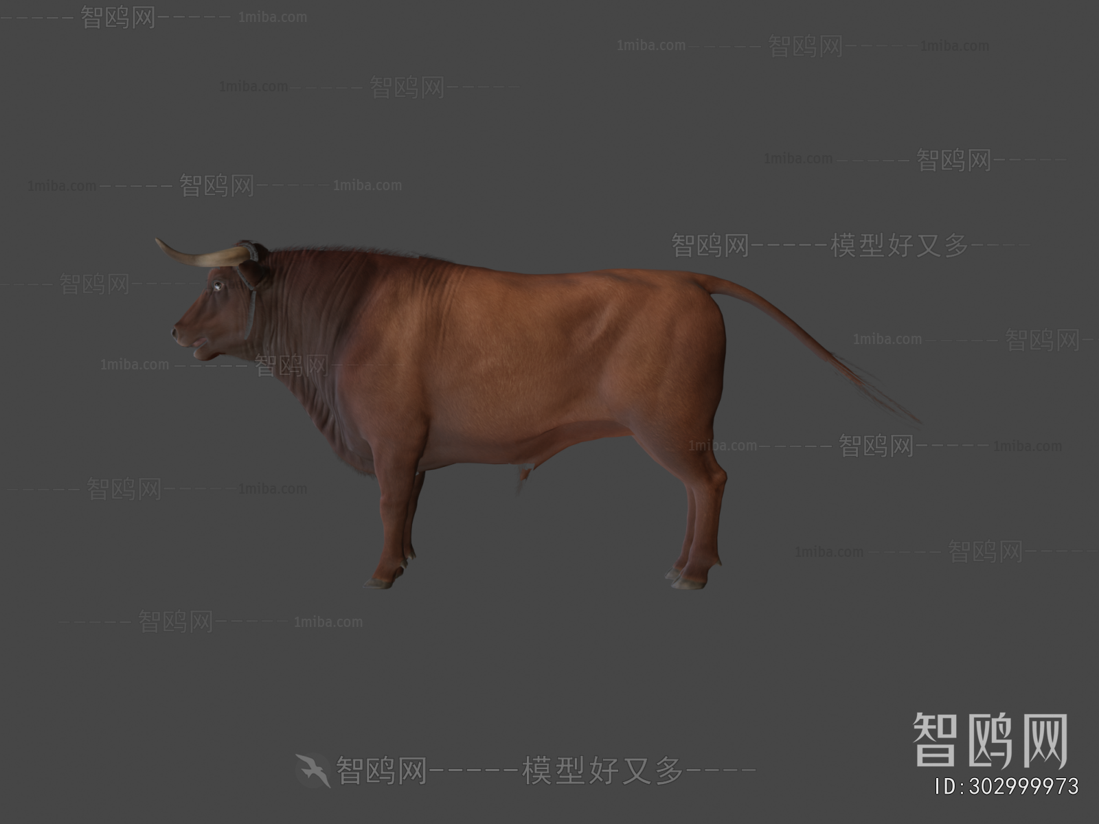 Modern Mammal
