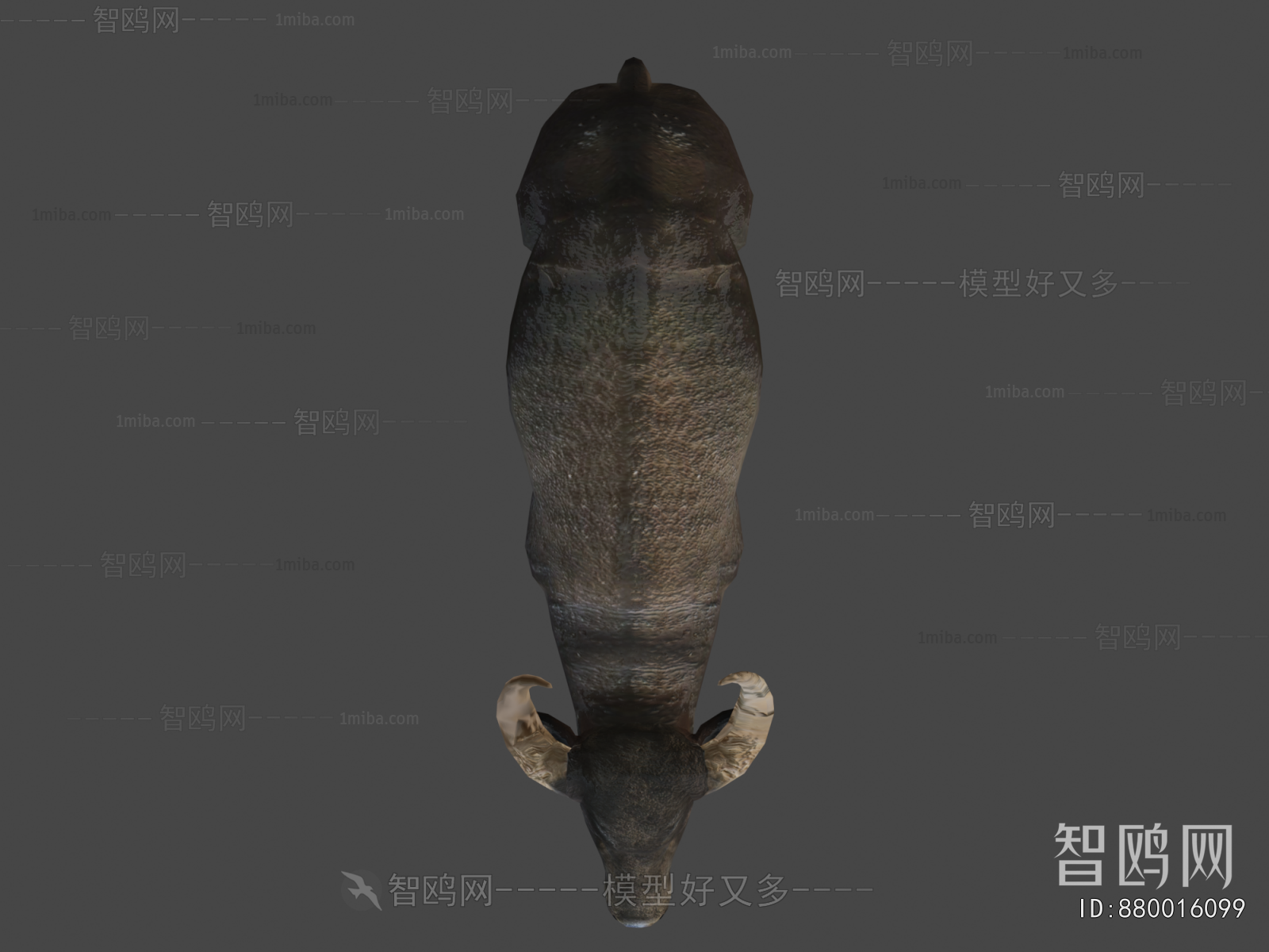 Modern Mammal