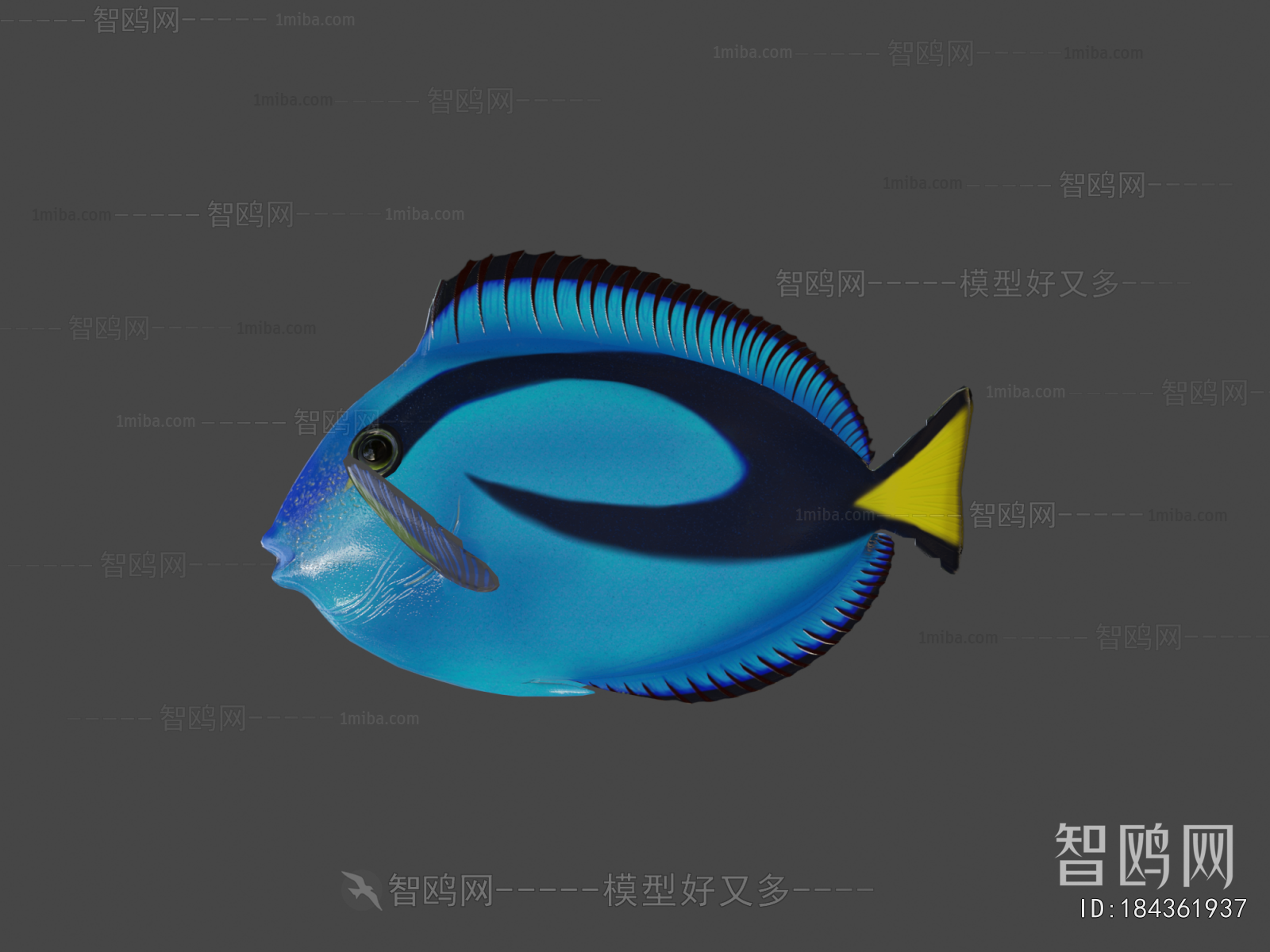 Modern Aquatic Animals