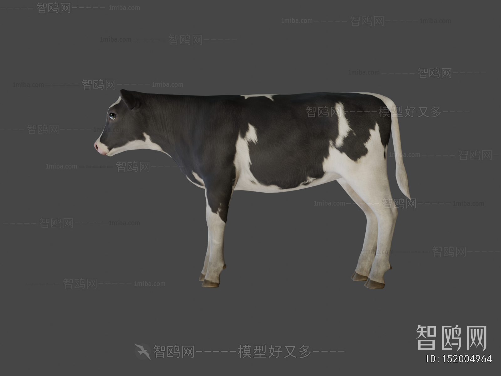 Modern Animal