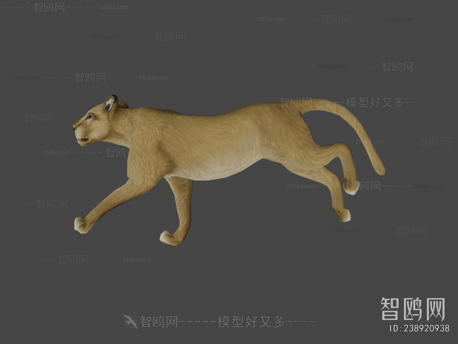 Modern Mammal