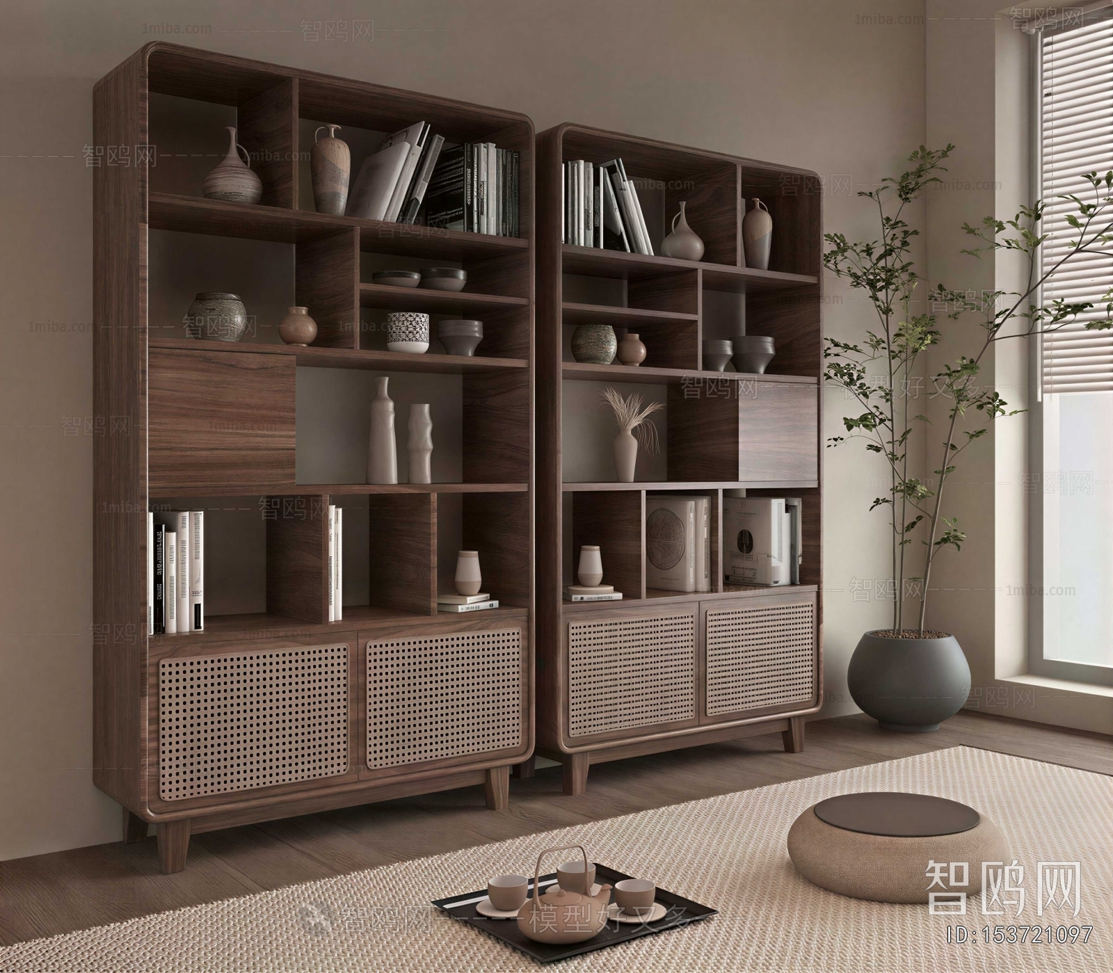 Modern Bookcase