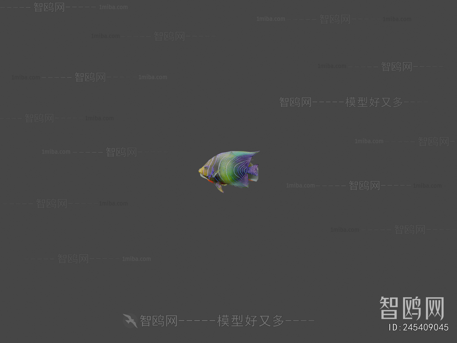 Modern Aquatic Animals