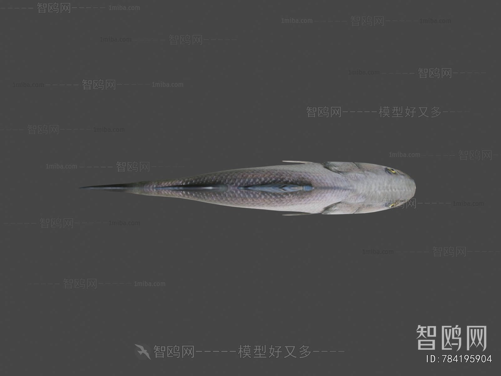 Modern Aquatic Animals