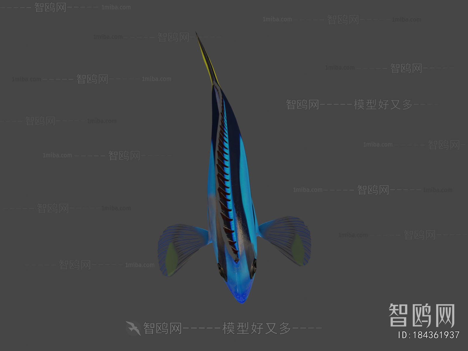Modern Aquatic Animals