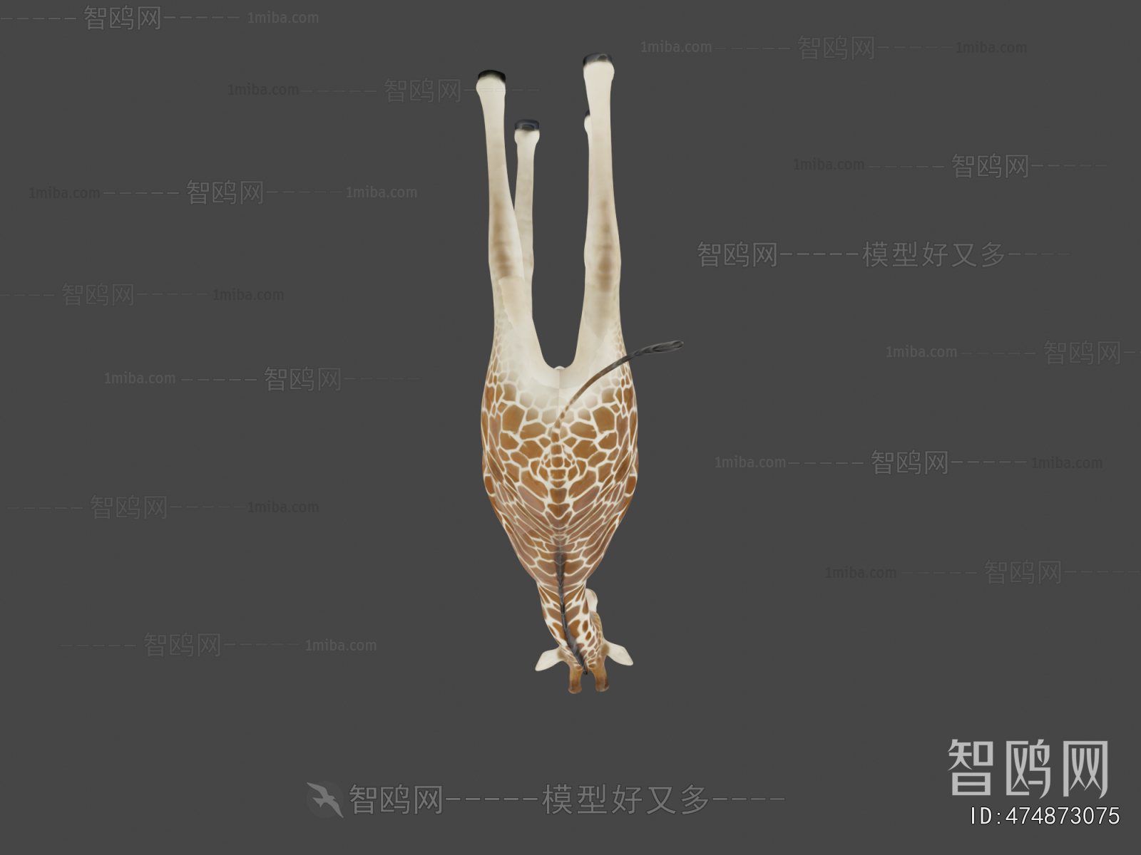 Modern Mammal