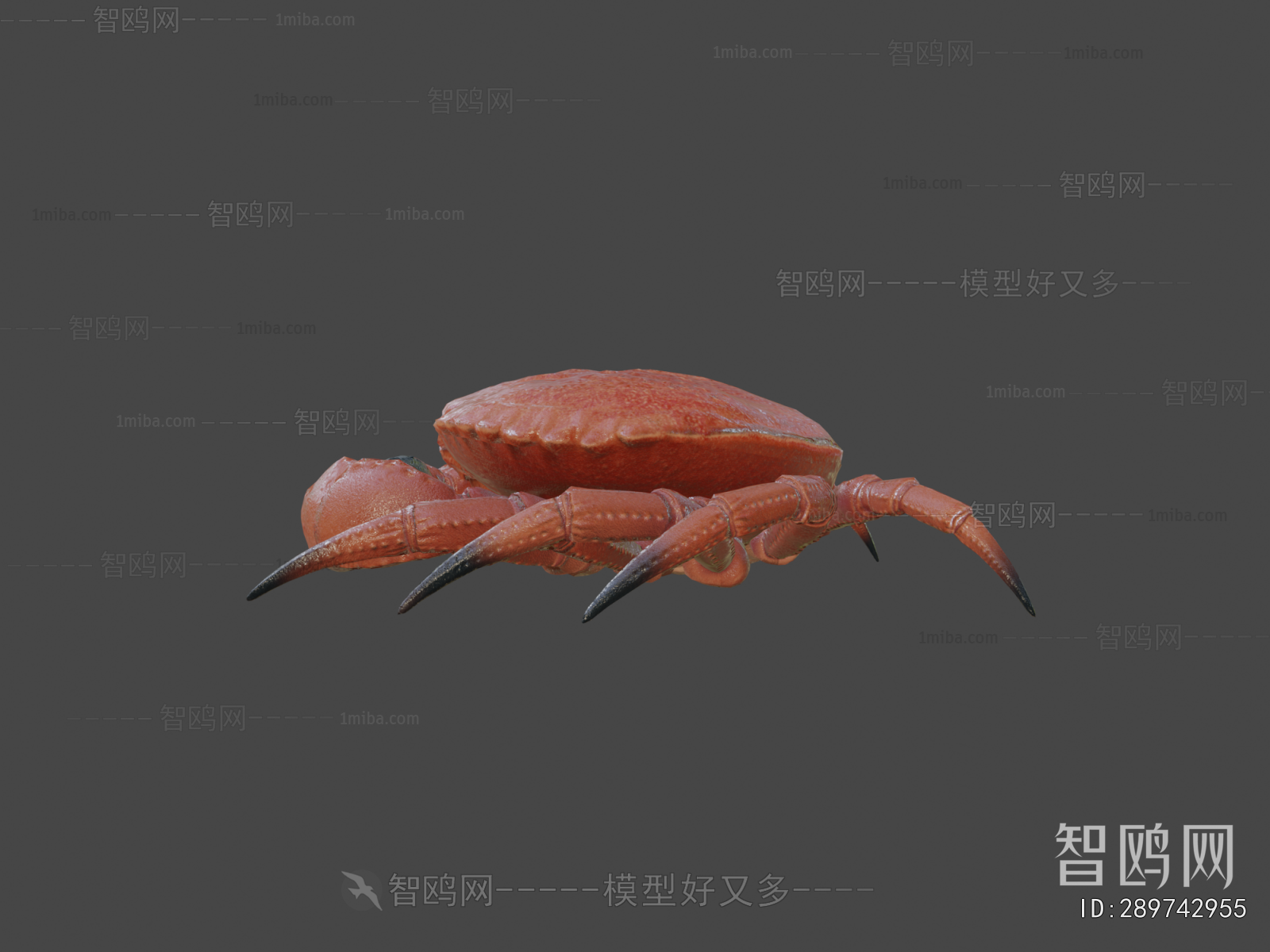 Modern Animal