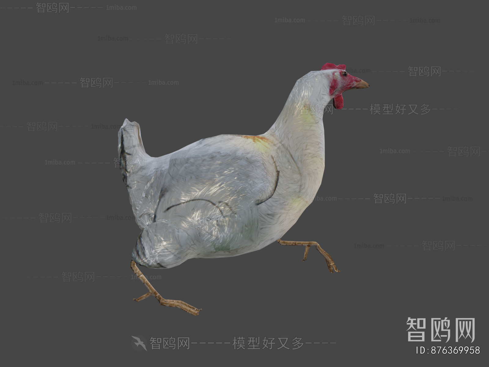 Modern Poultry Animal