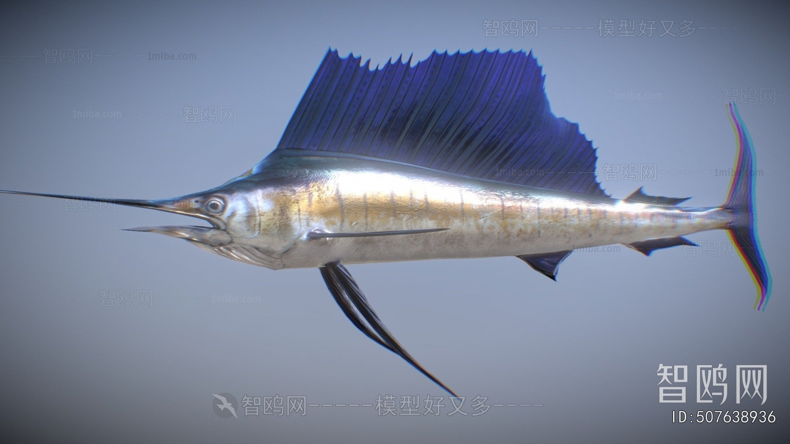 Modern Aquatic Animals
