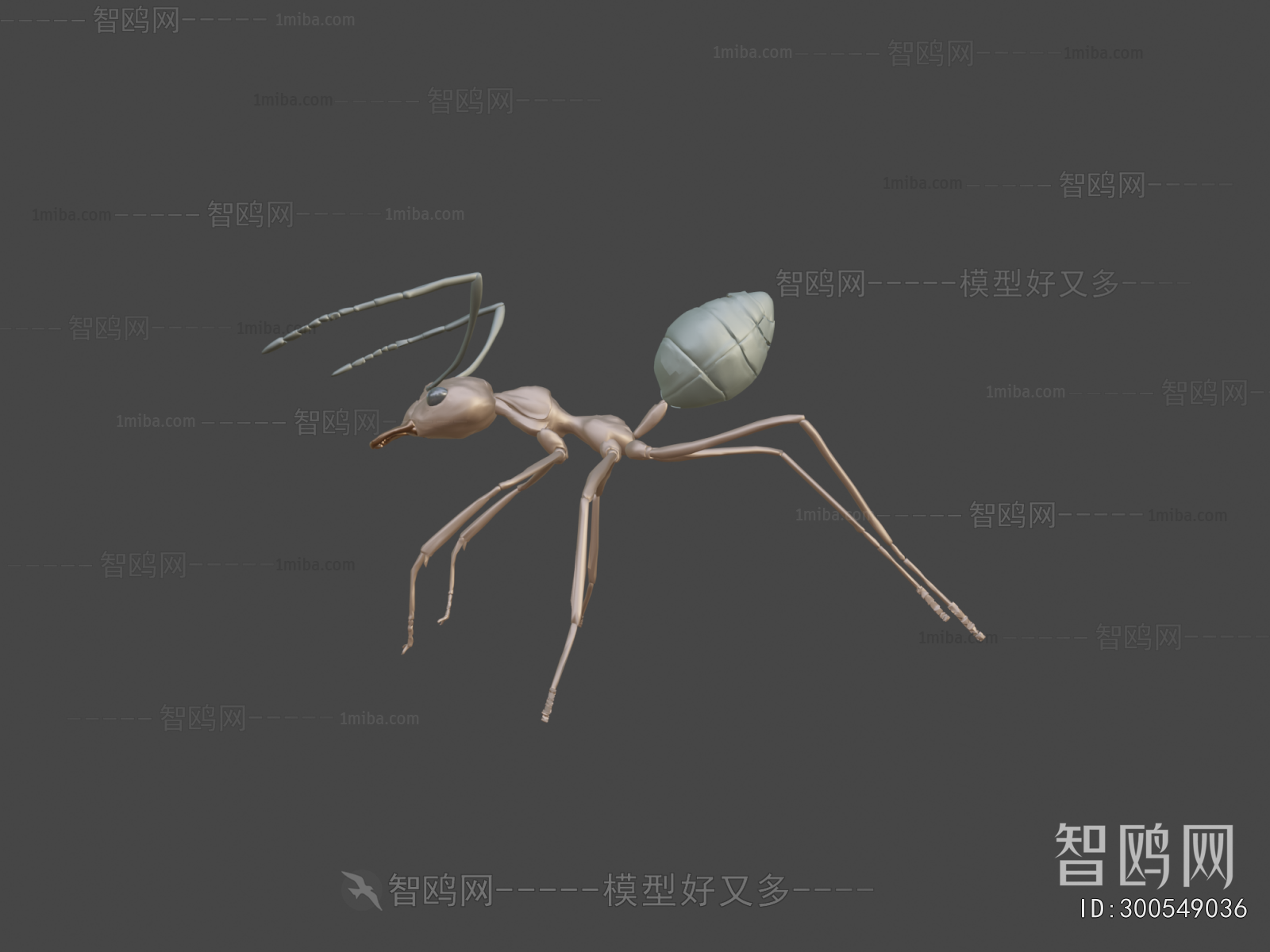 Modern Other Animals