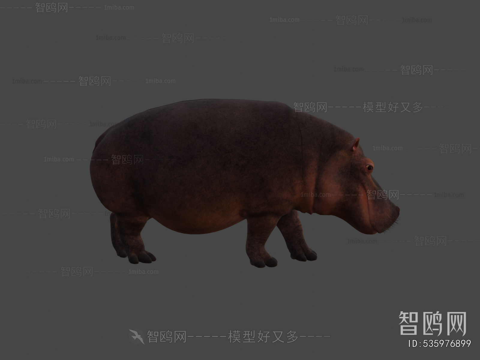 Modern Animal