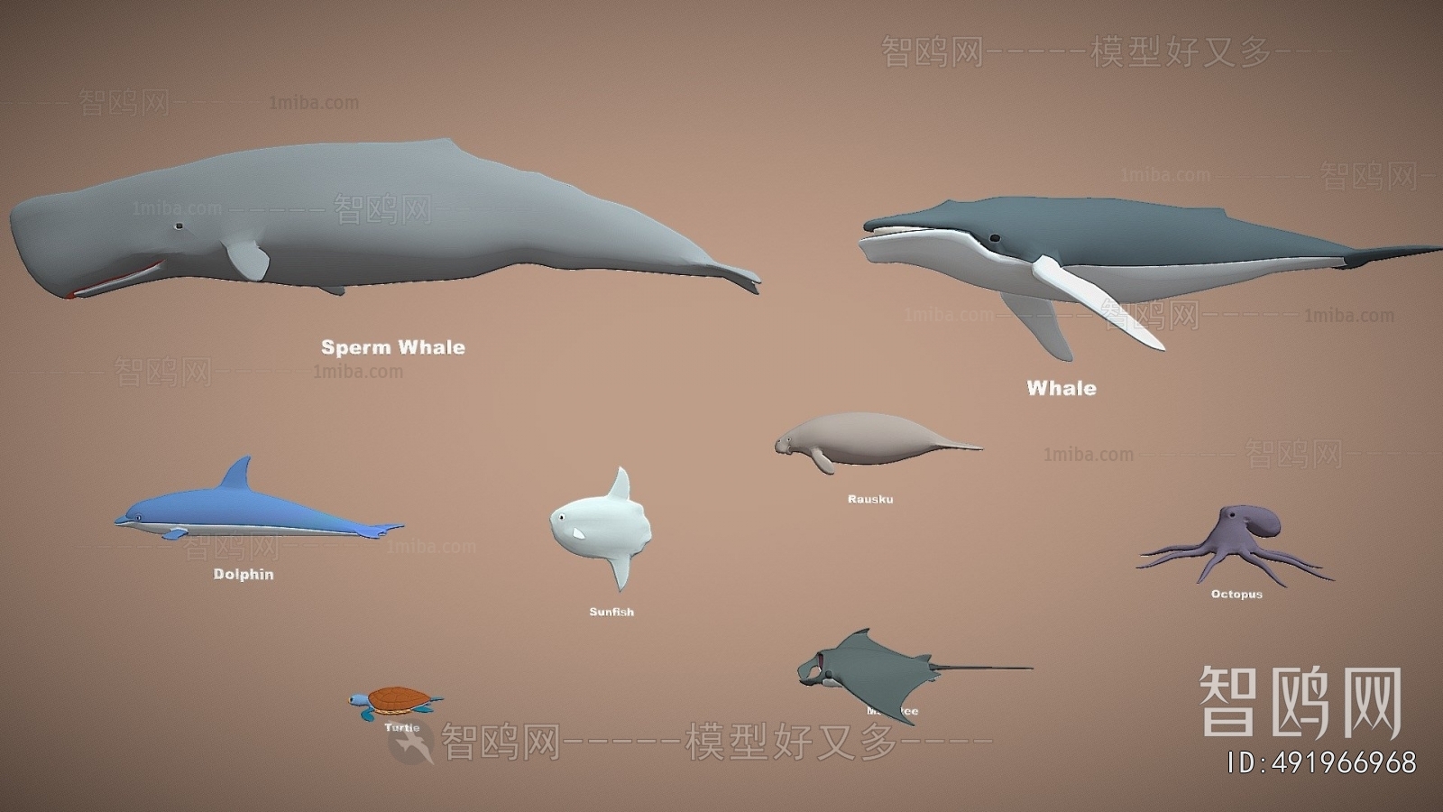 Modern Animal