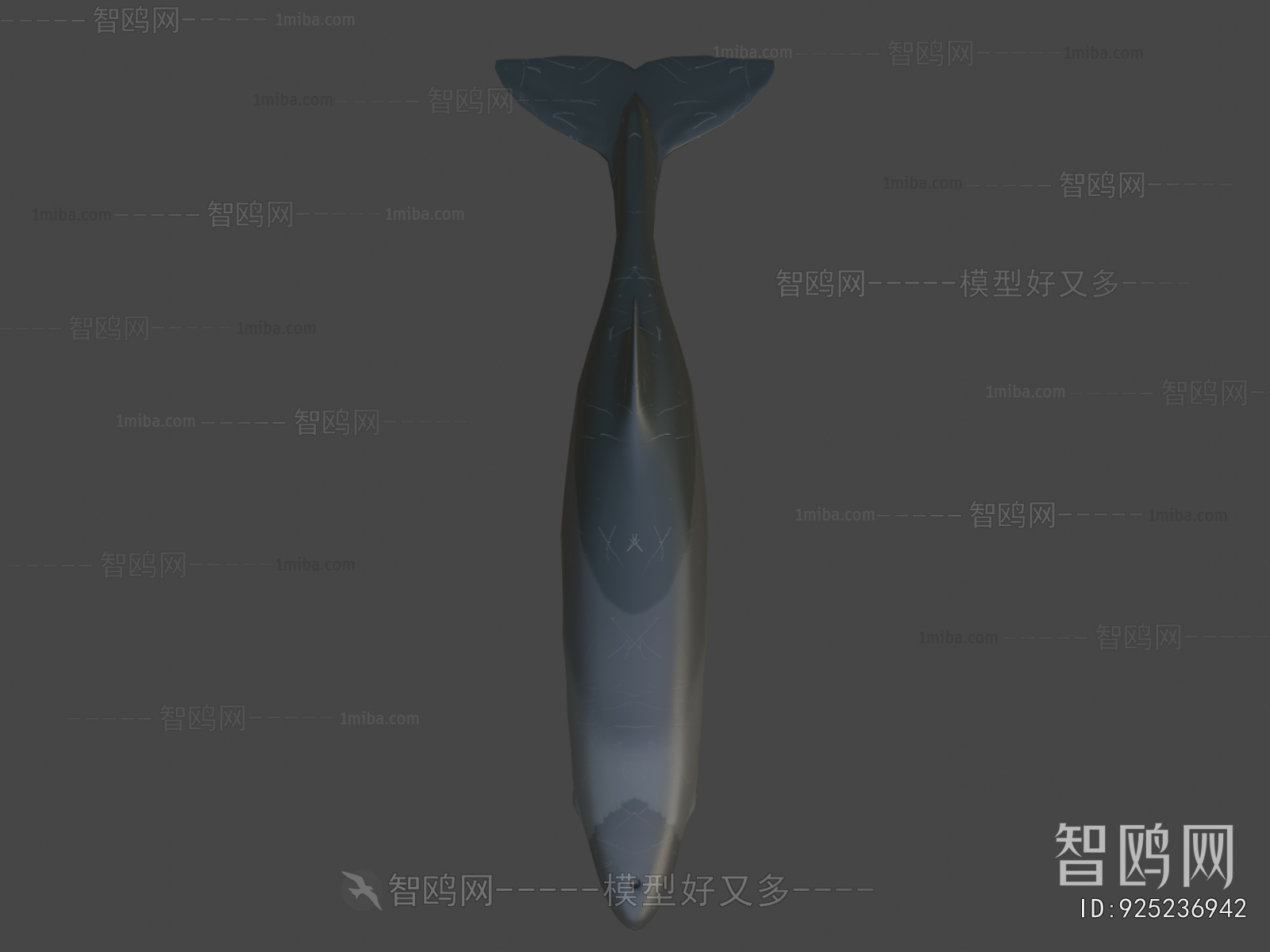 Modern Aquatic Animals