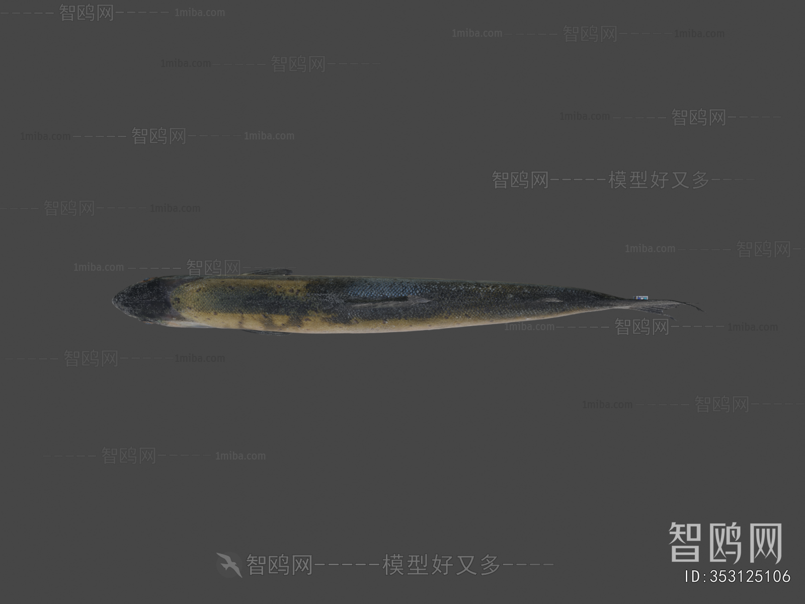 Modern Aquatic Animals