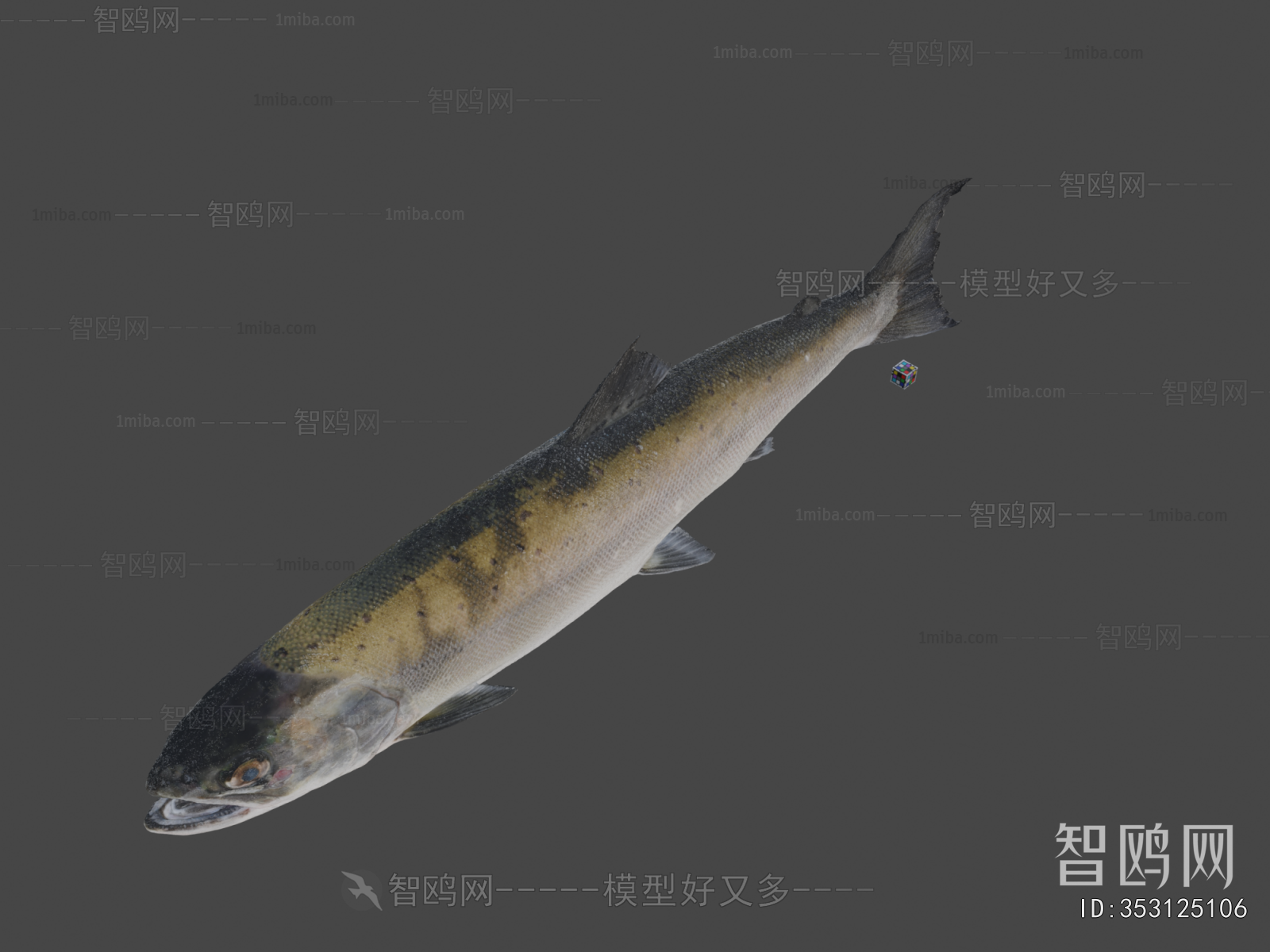 Modern Aquatic Animals