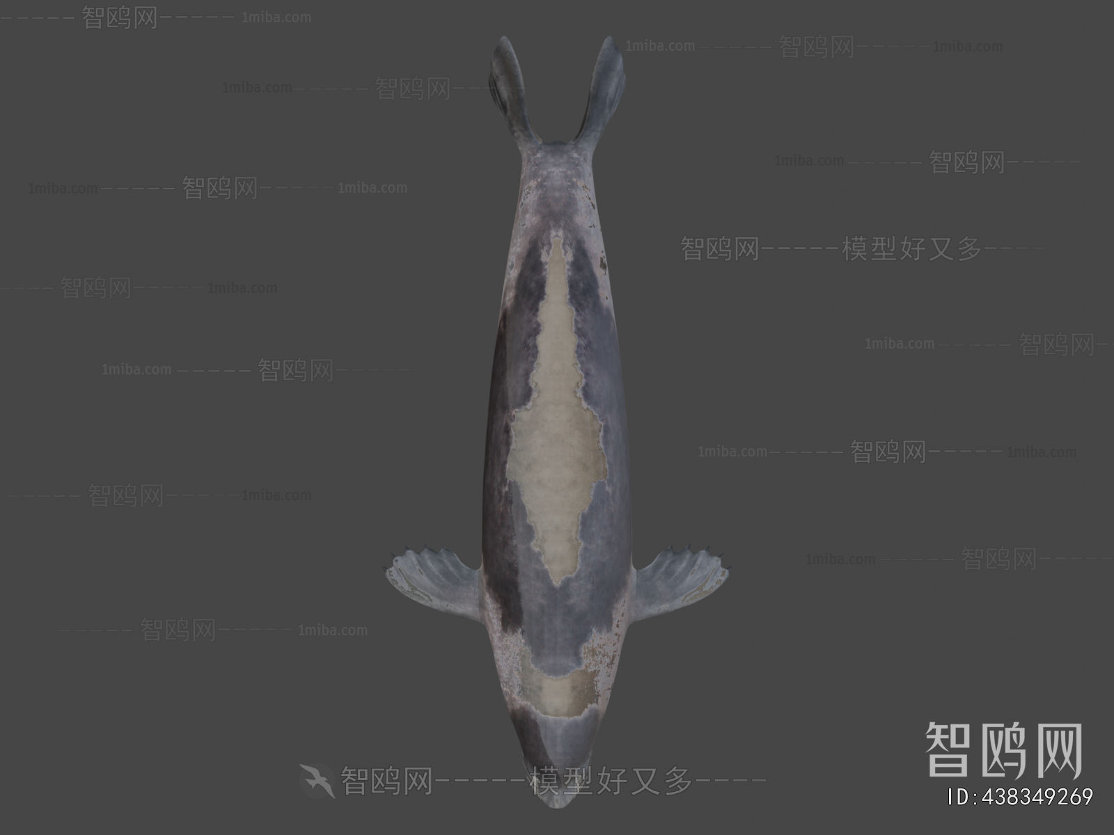 Modern Aquatic Animals