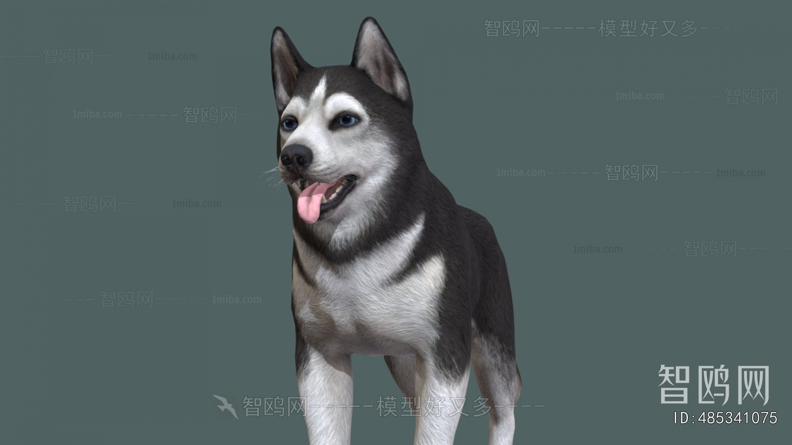 Modern Animal Dog