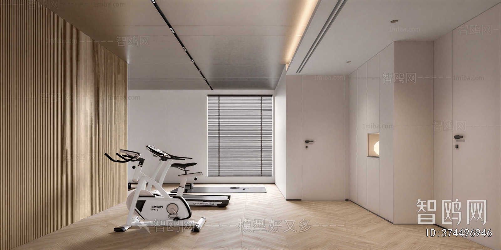 Modern Home Fitness Room