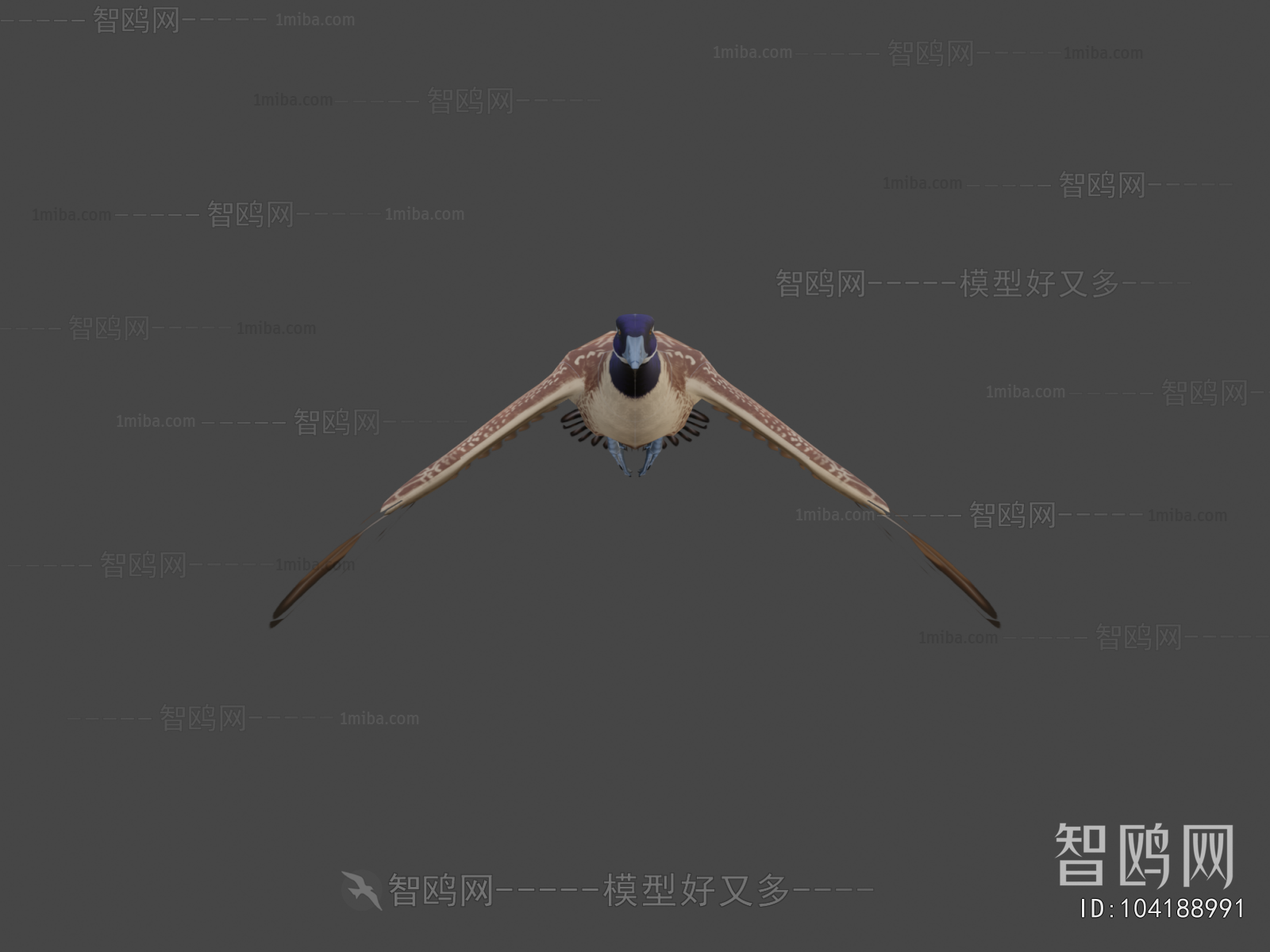 Modern Animal