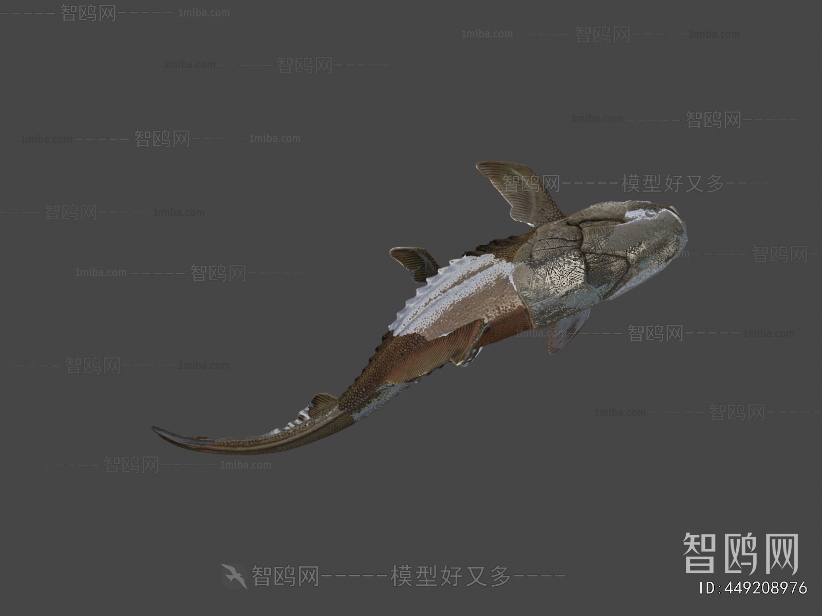 Modern Animal