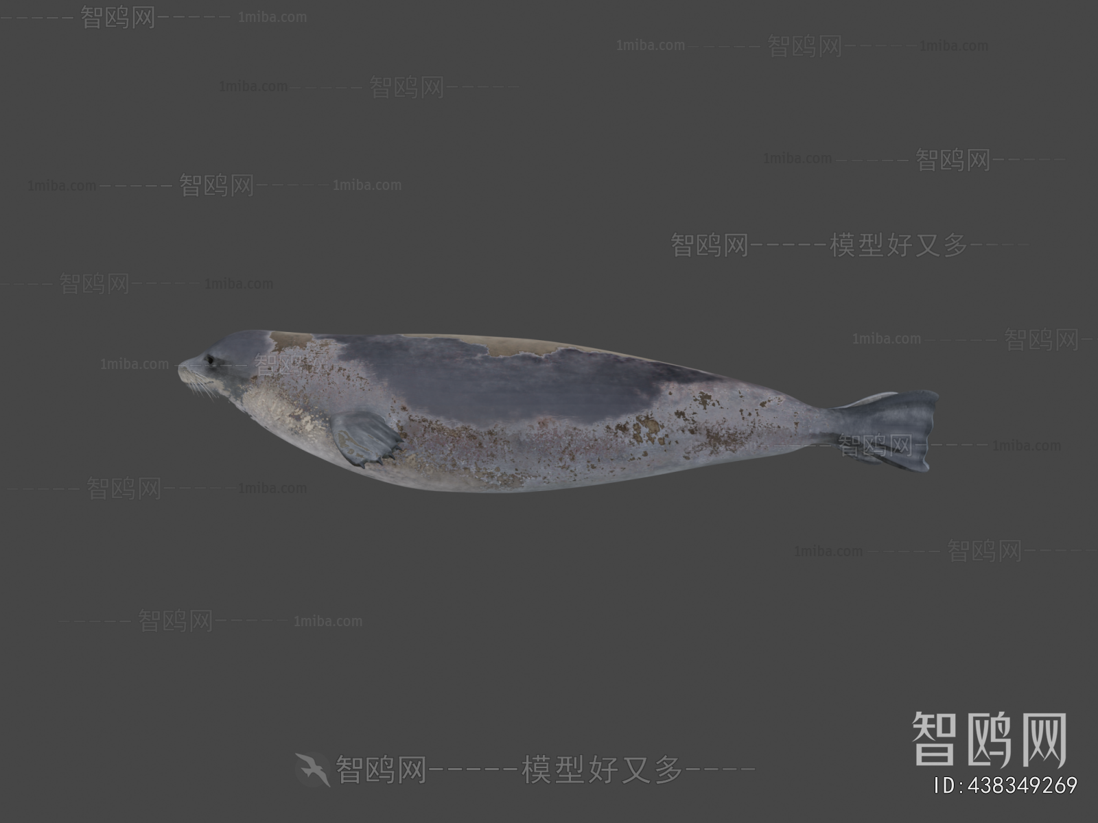 Modern Aquatic Animals
