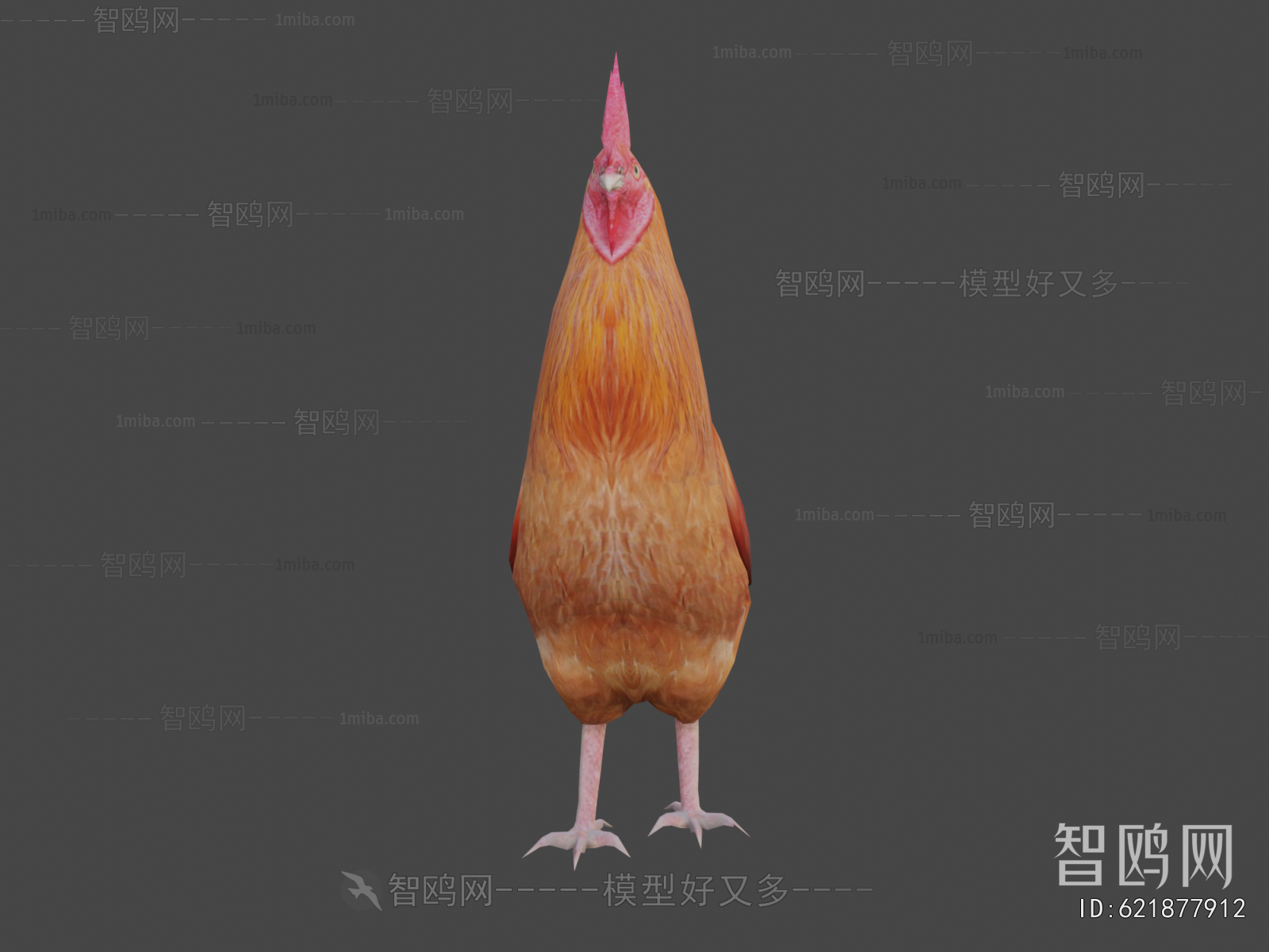 Modern Poultry Animal