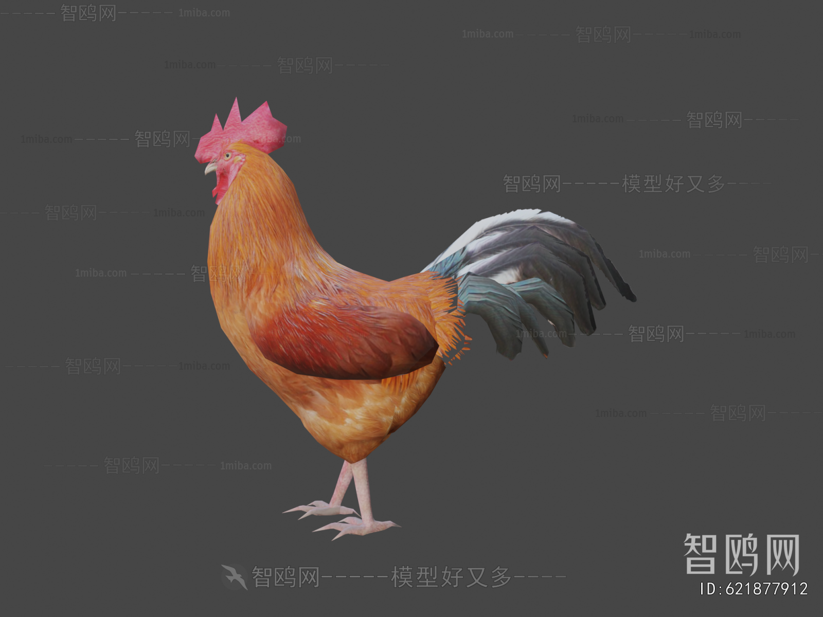 Modern Poultry Animal