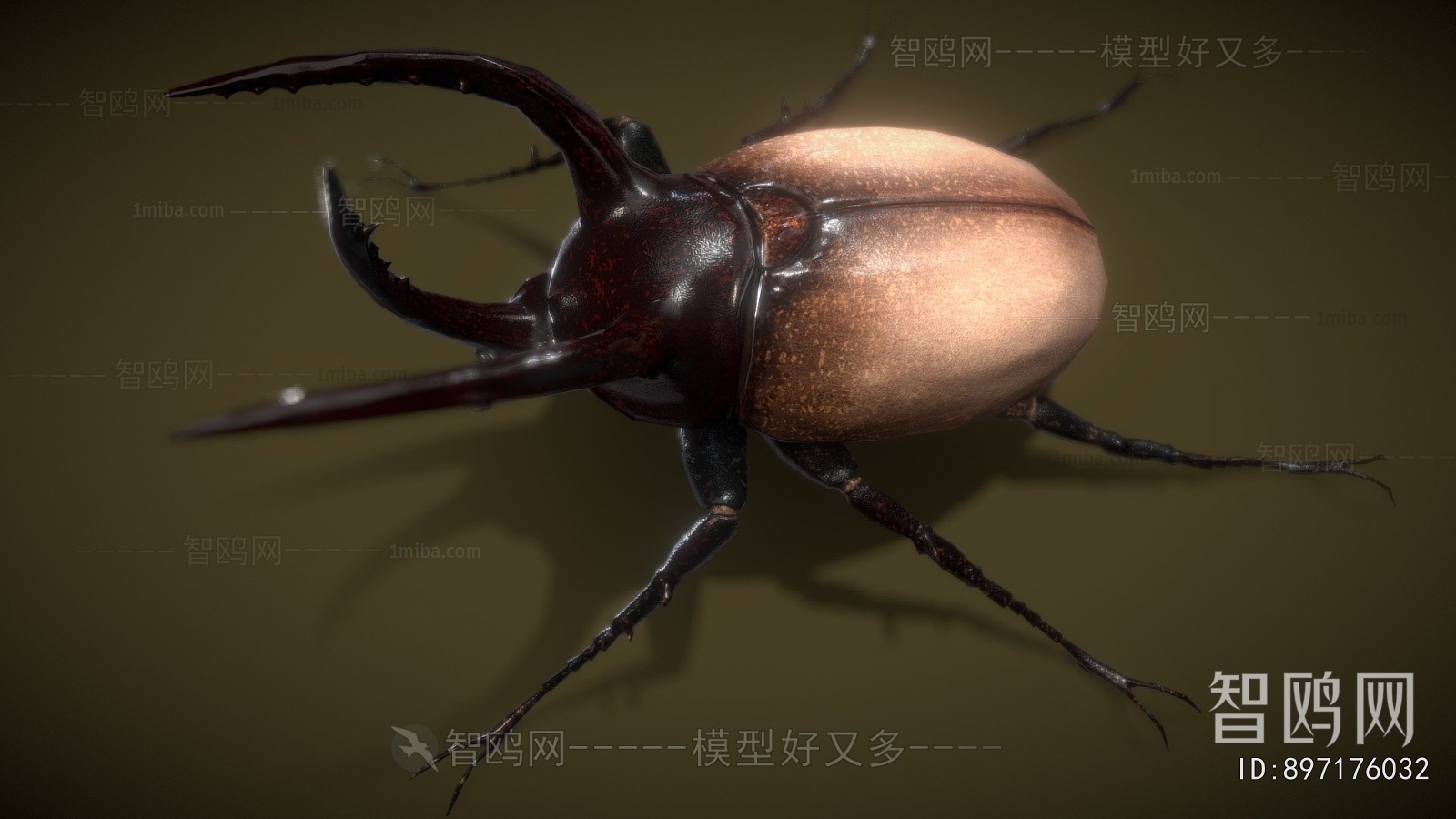 Modern Animal
