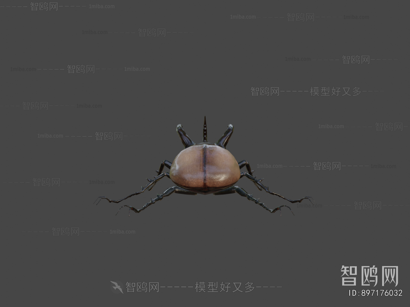 Modern Animal