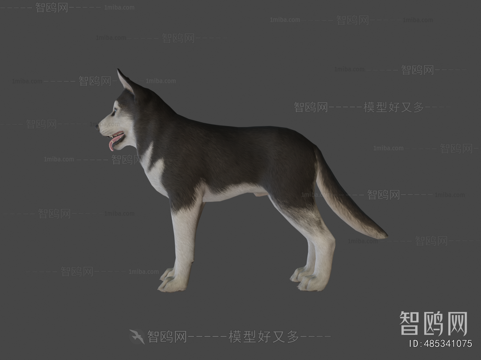 Modern Animal Dog
