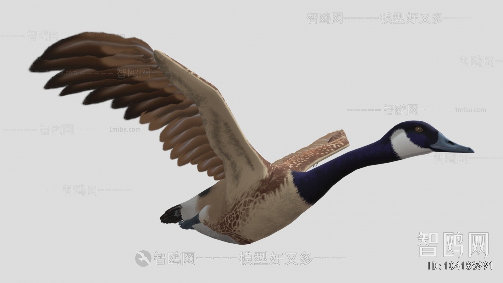 Modern Animal