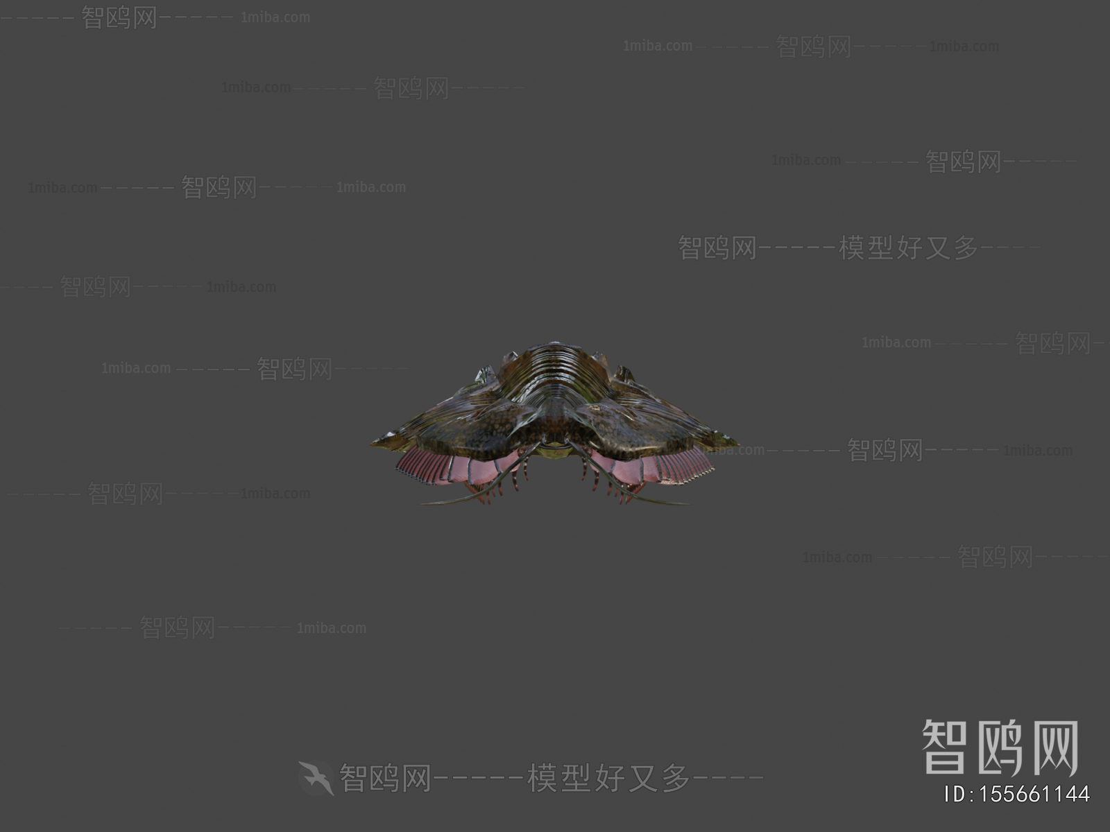 Modern Other Animals