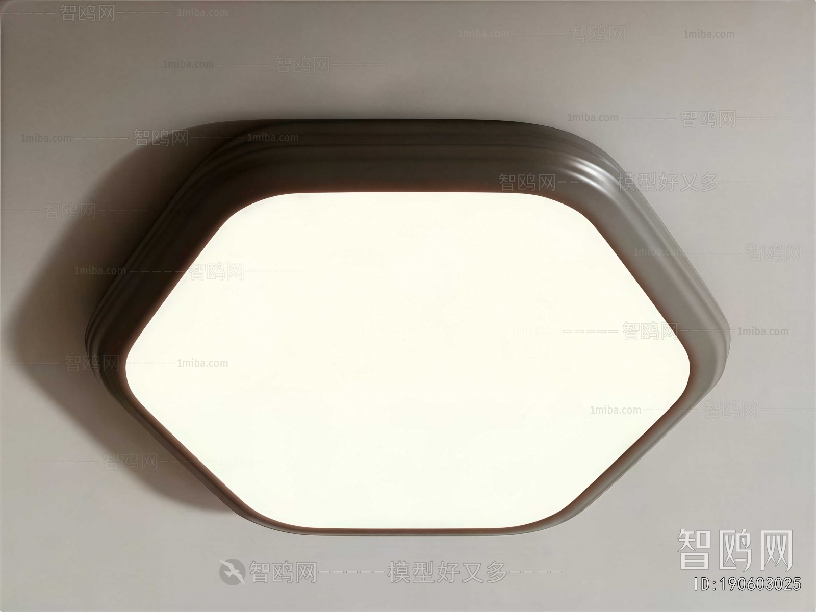 Modern Ceiling Ceiling Lamp