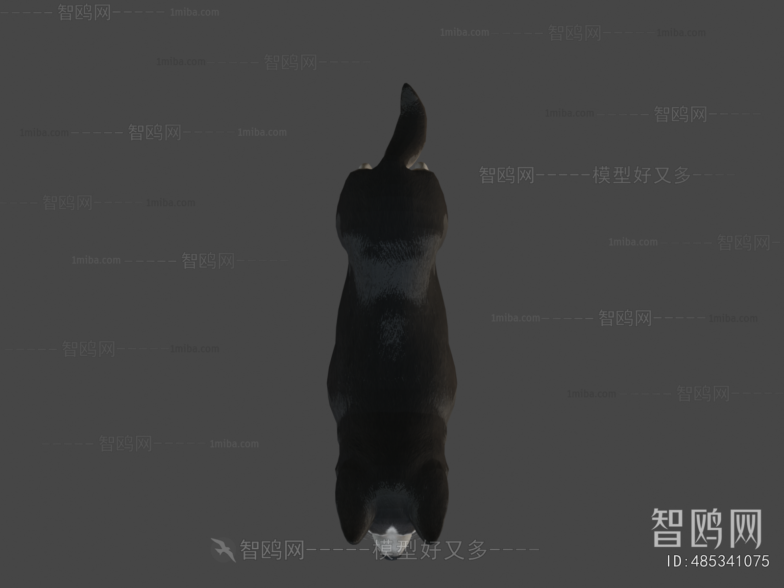 Modern Animal Dog