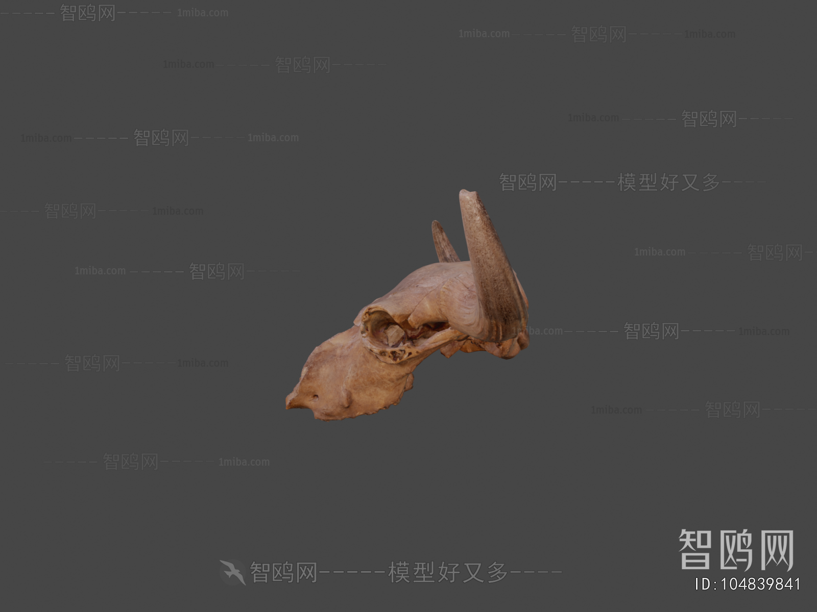 Modern Medical Equipment