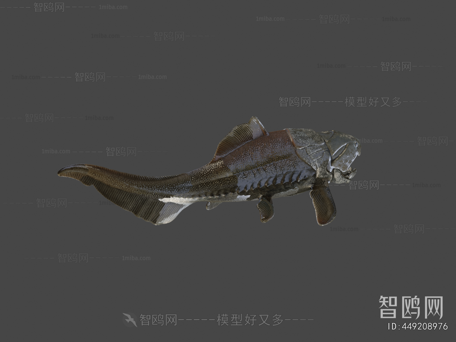 Modern Animal