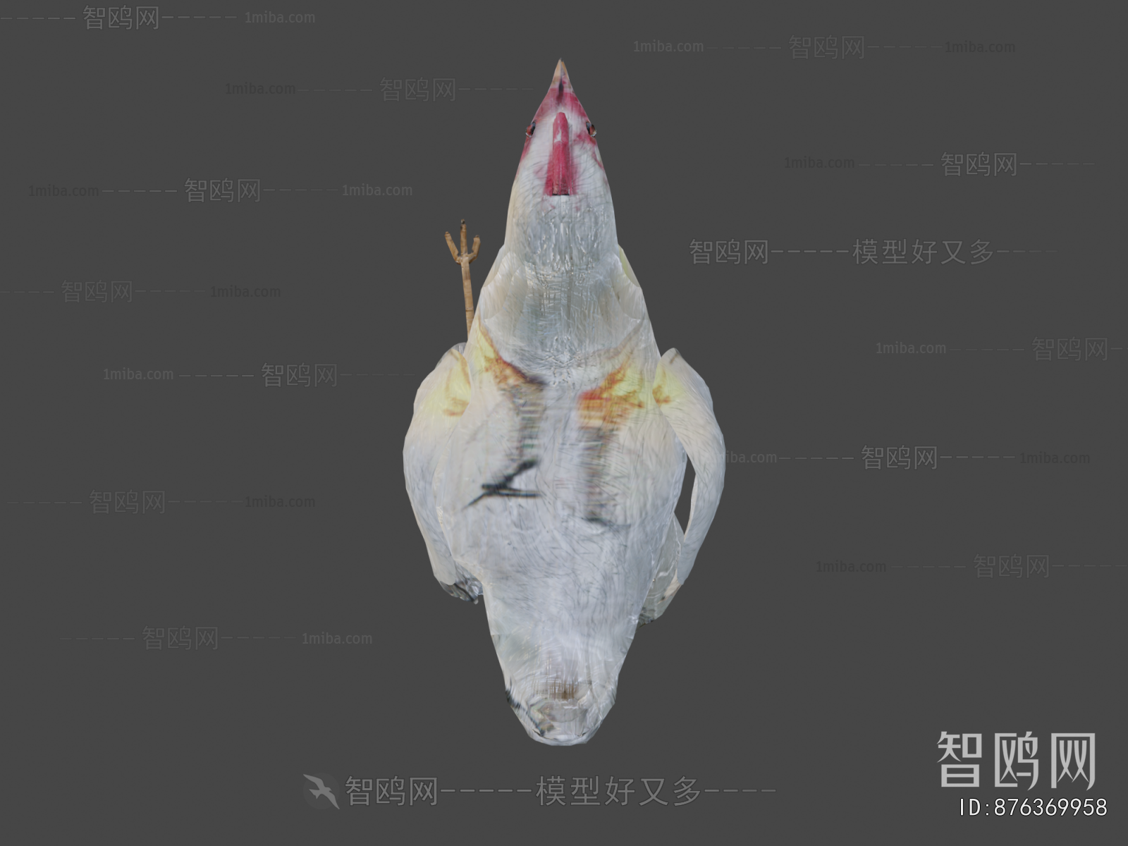 Modern Poultry Animal
