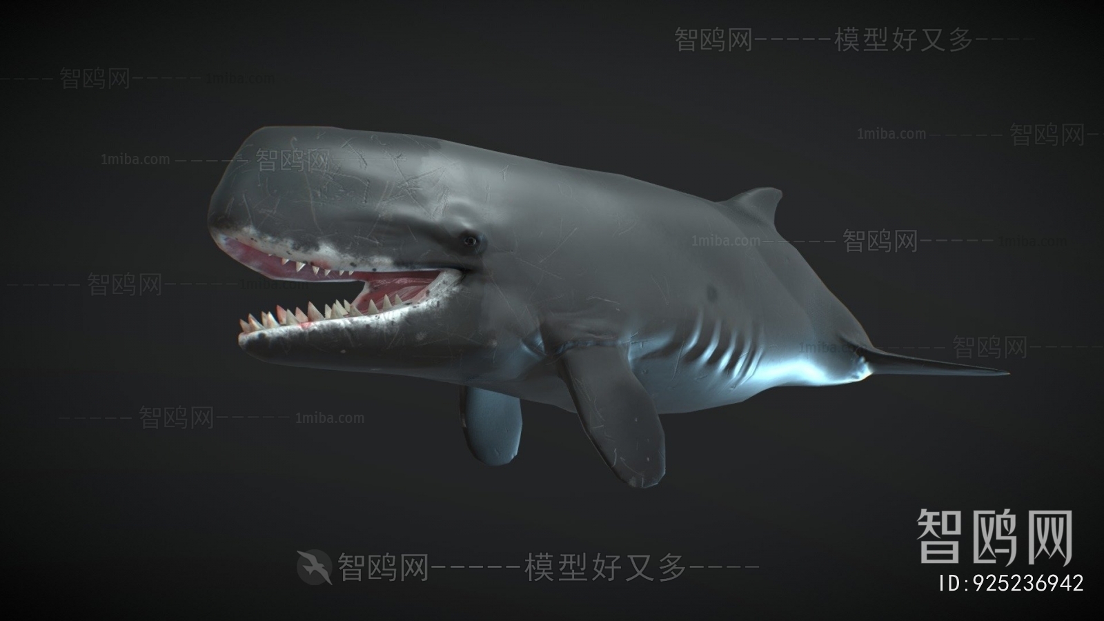 Modern Aquatic Animals