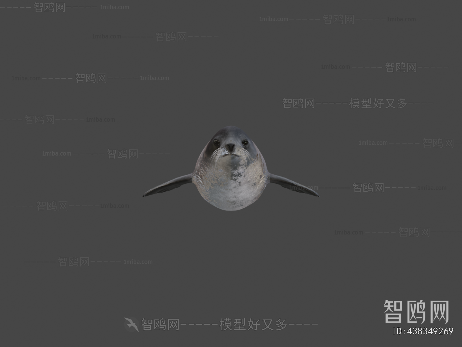 Modern Aquatic Animals